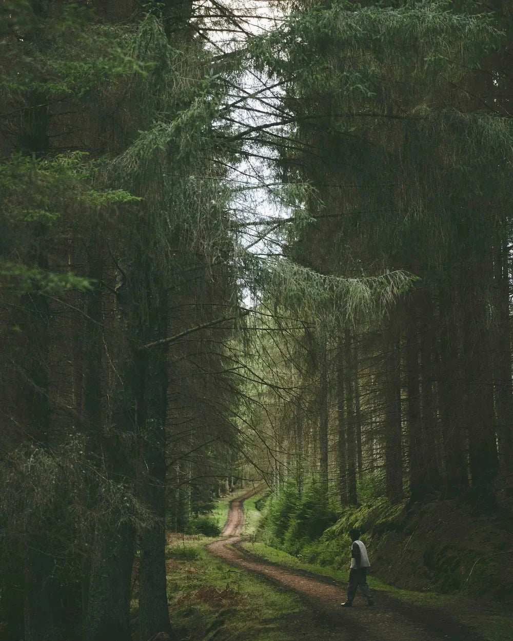 Autumn/Winter ‘25 Lookbook