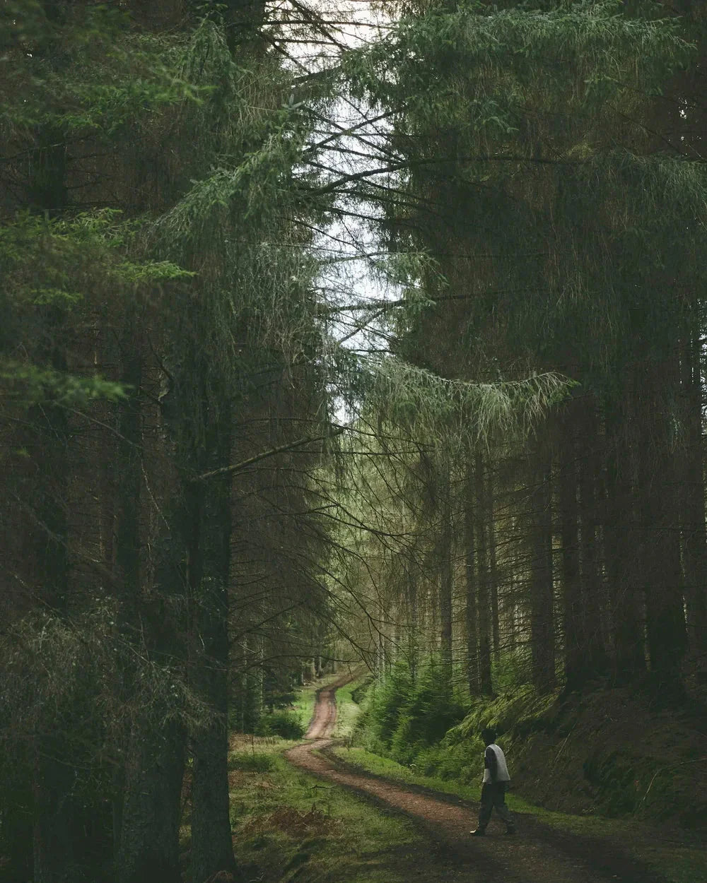 Autumn/Winter ‘25 Lookbook