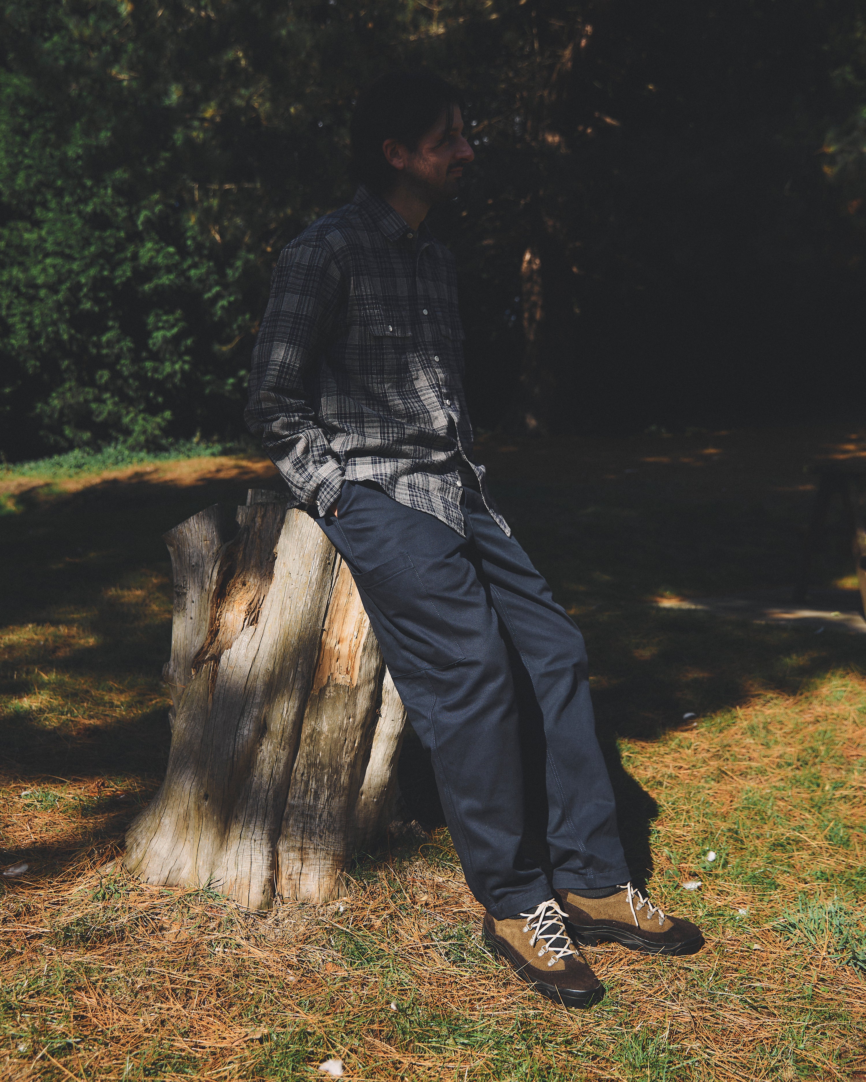 Person sitting on a tree stump in a forest