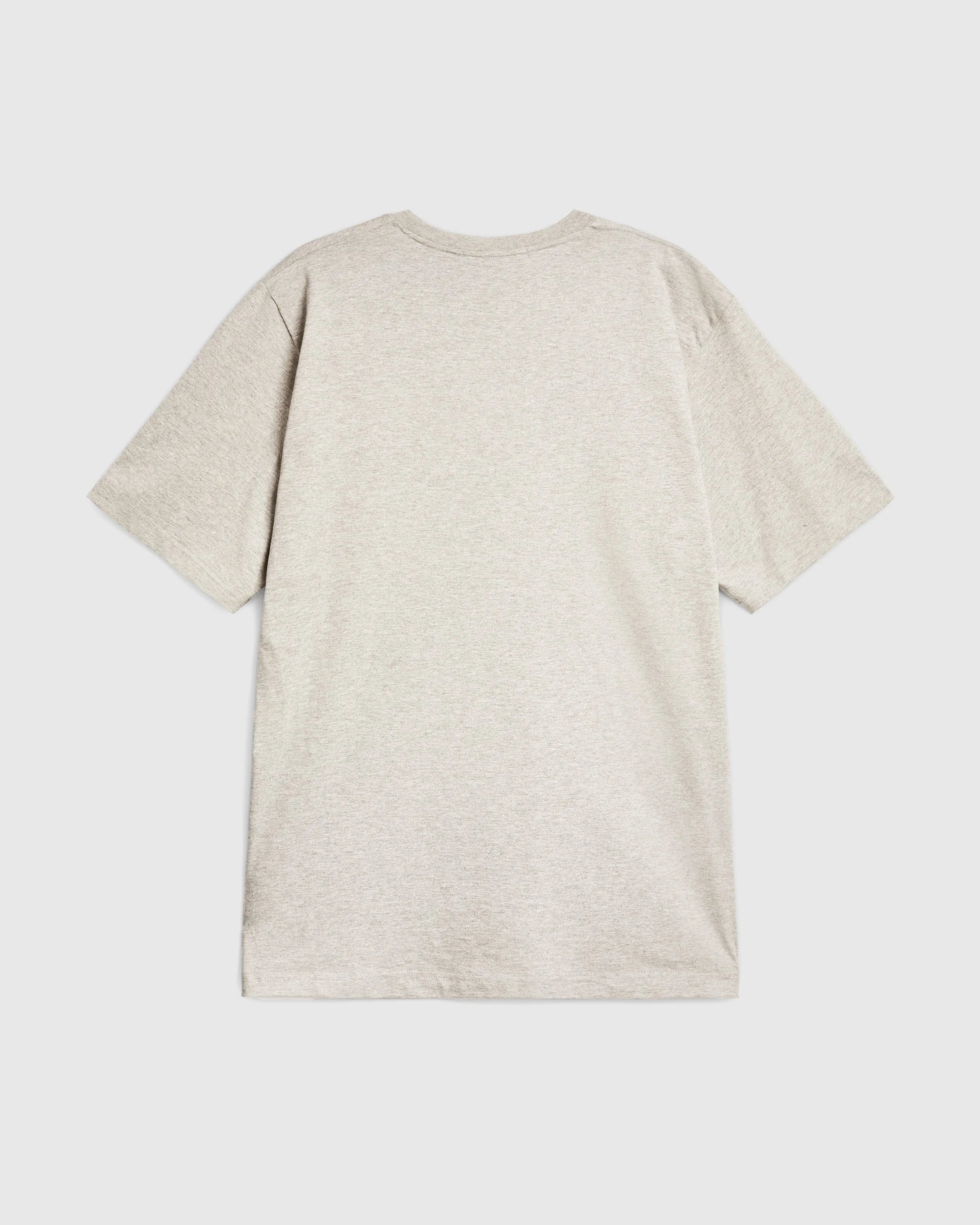 Soundsystem Tee - Vintage Heather and Lupin