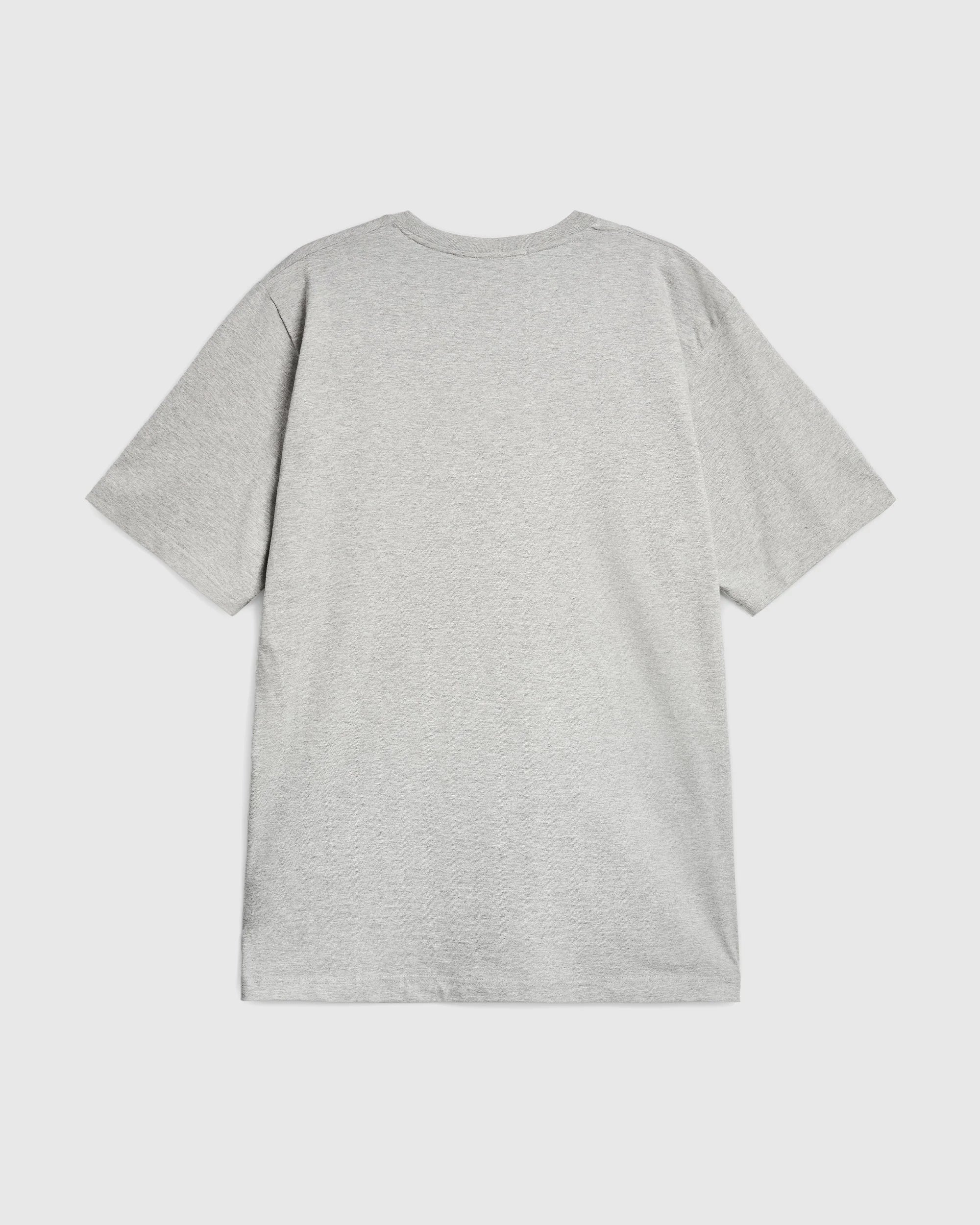 Soundsystem Tee - Vintage Grey and Field Green