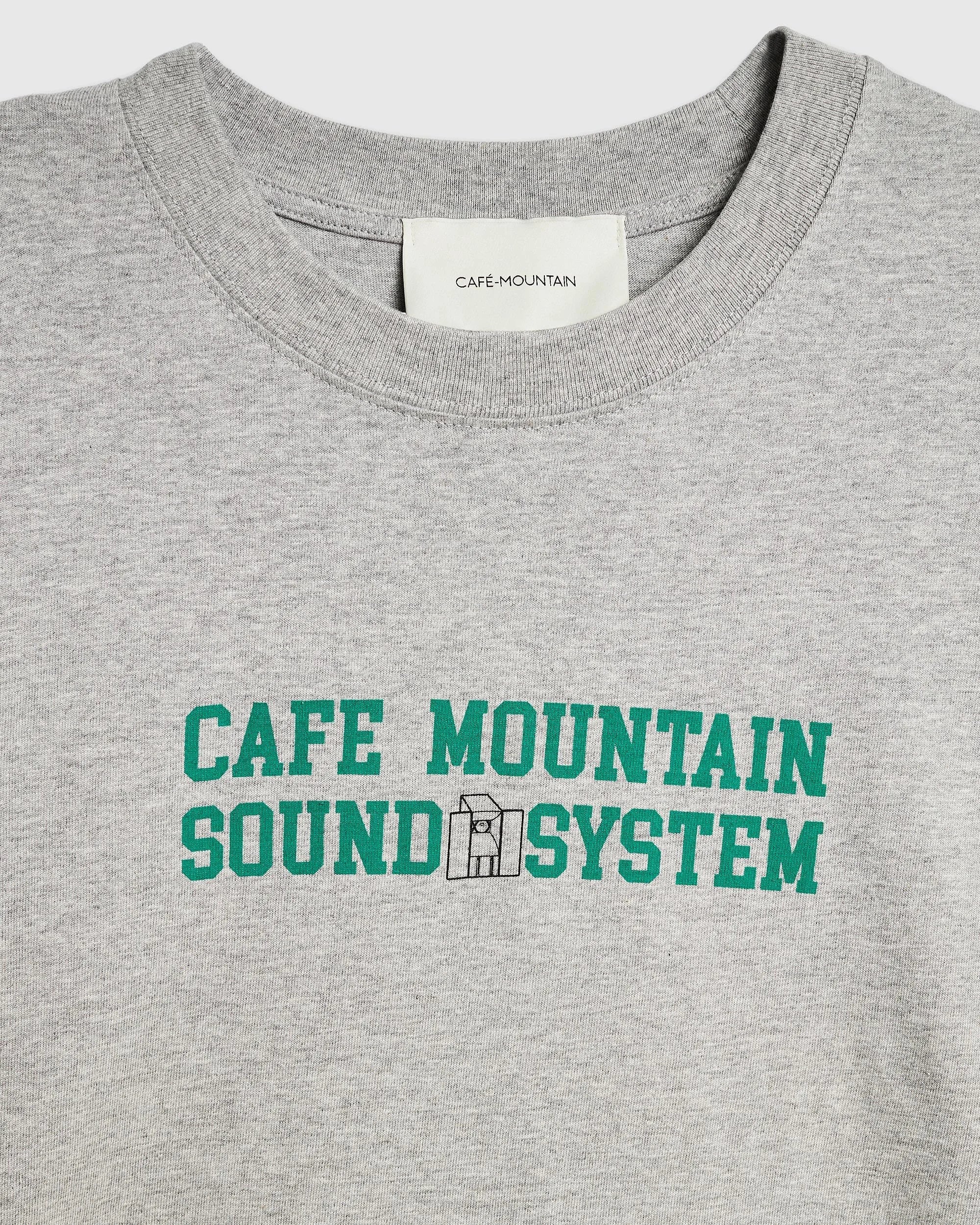 Soundsystem Tee - Vintage Grey and Field Green
