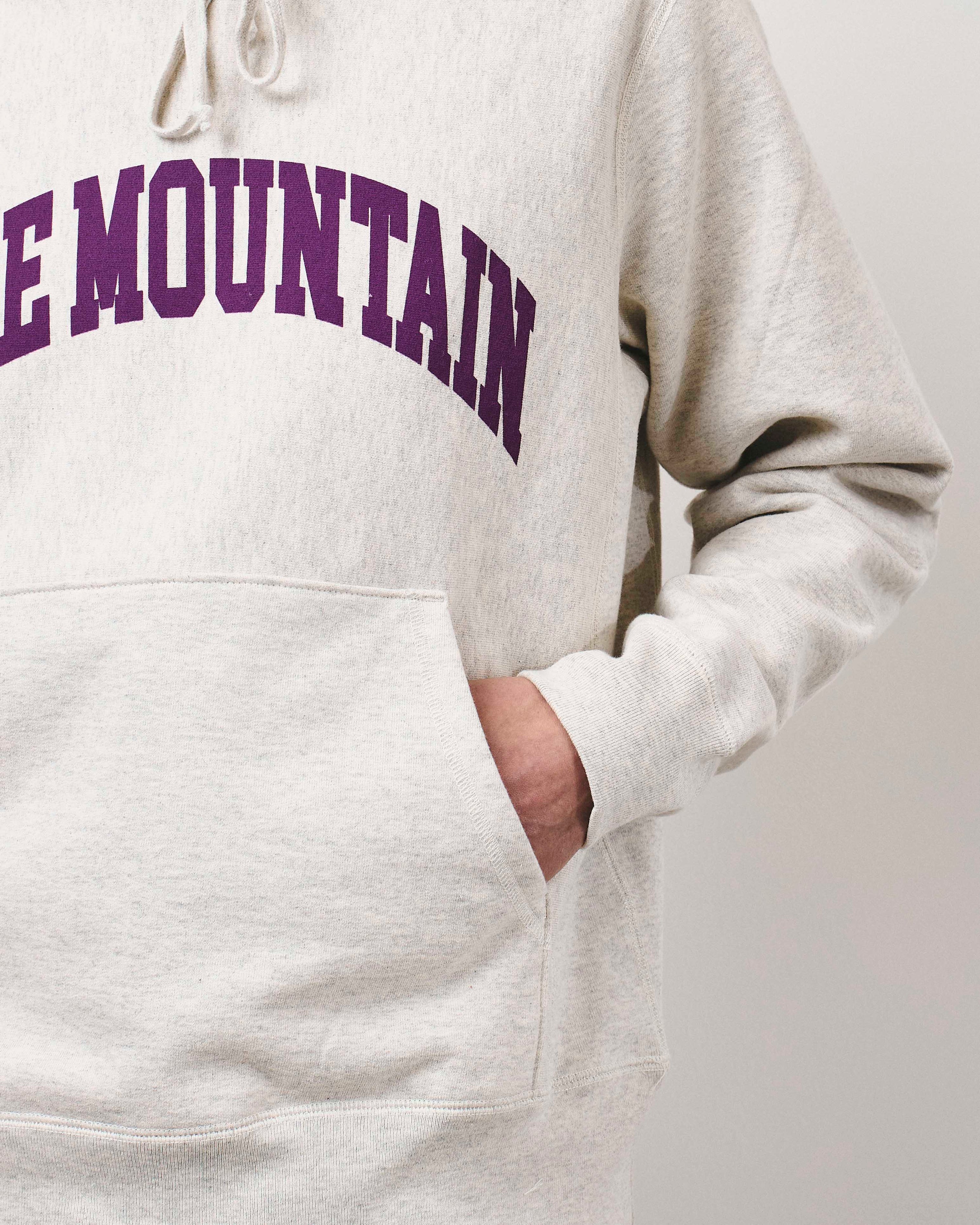 College Logo Hoody - Vintage Heather And Purple